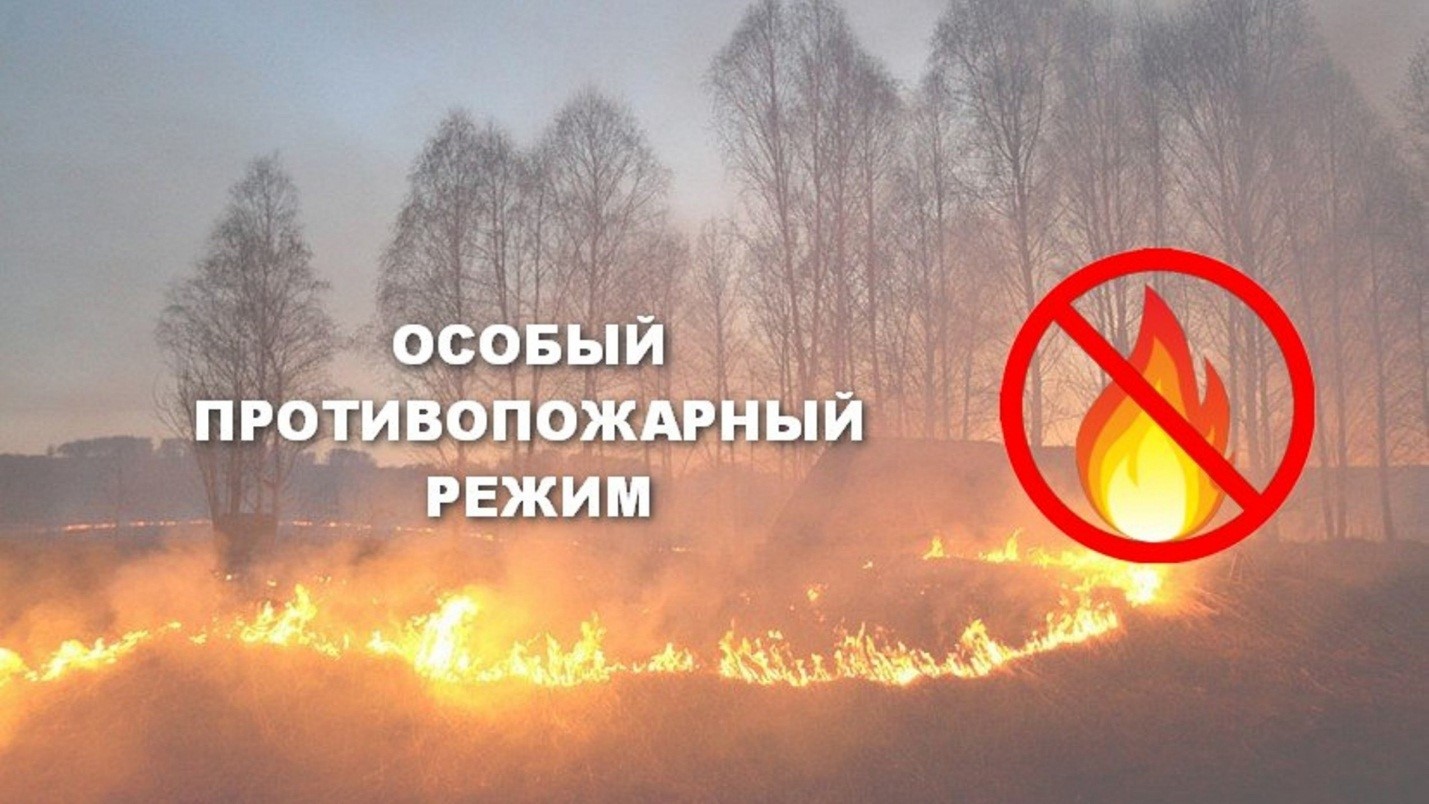 В Кировской области введён особый противопожарный режим.